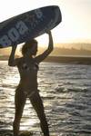 Cliquez pour voir la fiche compl�te