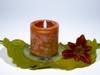 Cliquez pour voir la fiche compl�te
